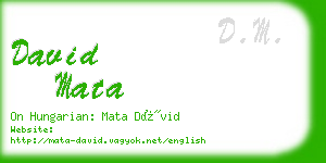 david mata business card